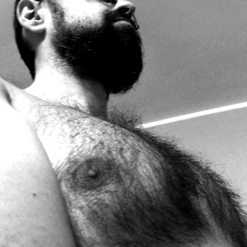 Hairy Teddy 🐻 onlyfans account