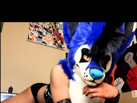 Subbyfolf932 onlyfans