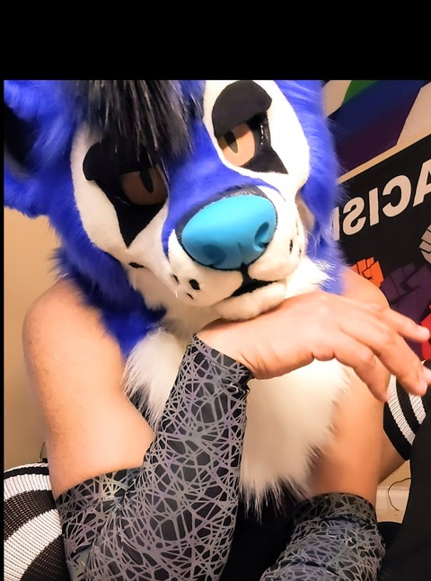 Subbyfolf932 onlyfans account