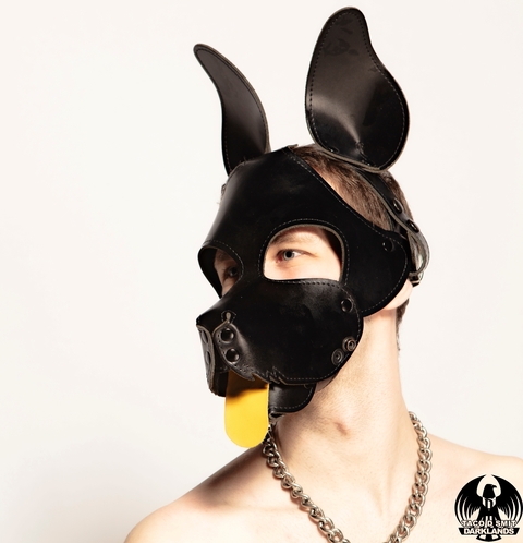 Pup Davey onlyfans account