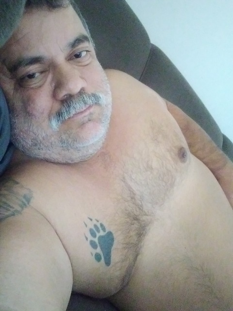 Urso🏳️‍🌈🇧🇷🐻 onlyfans account