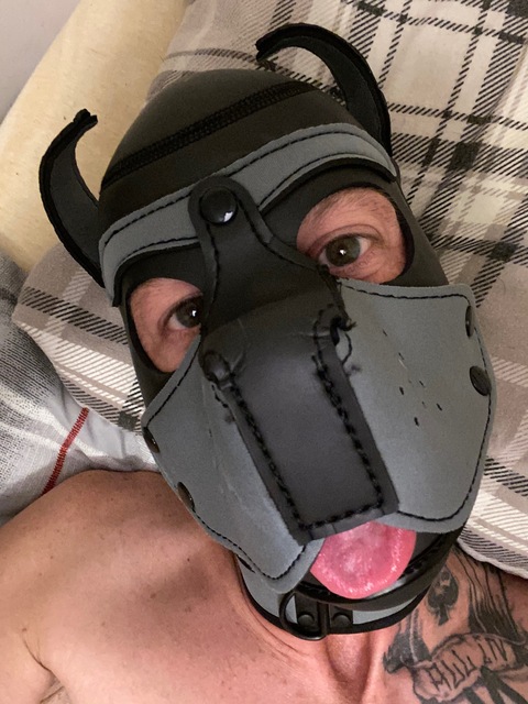 Ryker The Pup onlyfans account