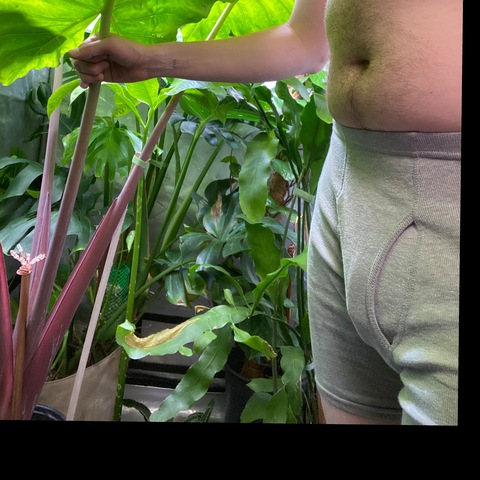 Theplantdad onlyfans