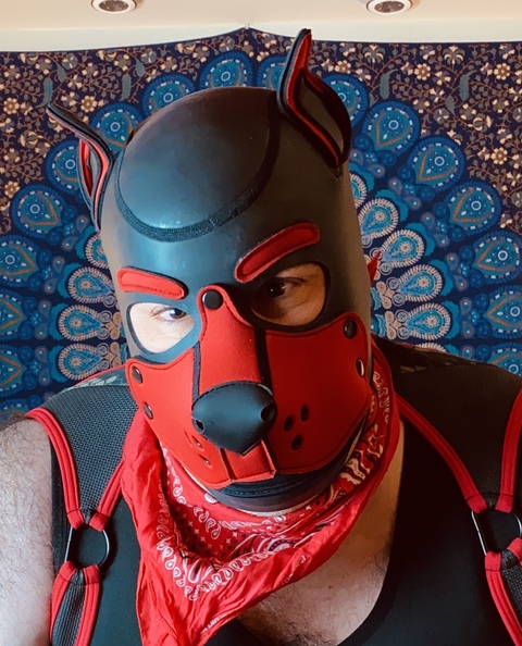 Bear Pup Gaymer onlyfans account