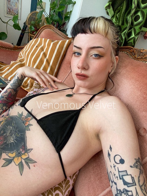 Venomous Velvet onlyfans account