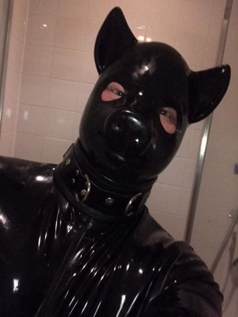 Rubber Cigar Pig onlyfans account