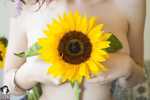 Sunflower.Xx onlyfans