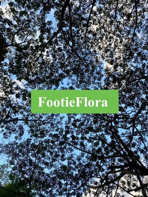 Footieflora onlyfans