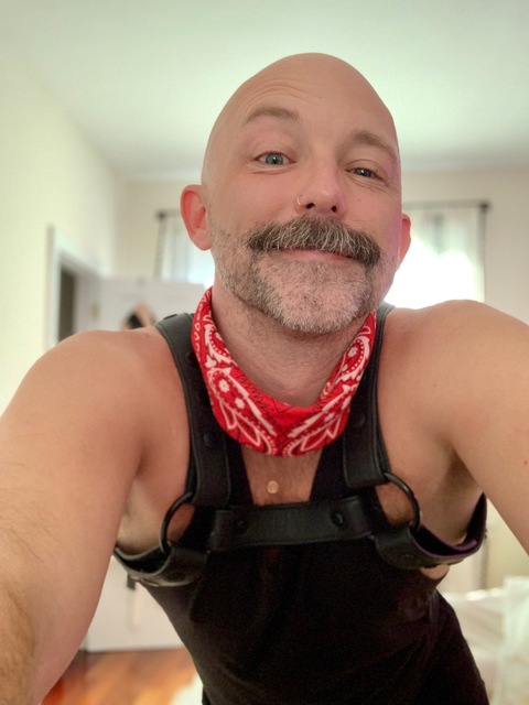 Wonderpupdisco onlyfans account