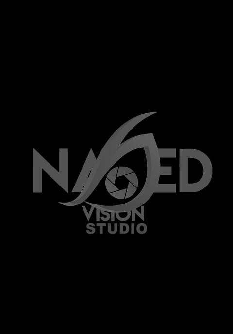 Naked Vision Studio onlyfans account