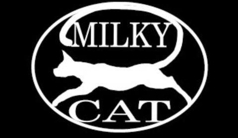 Milky-Cat onlyfans account